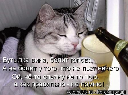 Бутылка вина, болит голова, А не болит у того, кто не пьет ничего... Ой, чё-то спьяну не то пою, а ... Котоматрица: Бутылка вина, болит голова, А не болит у того, кто не пьет ничего... Ой, чё-то спьяну не то пою, а как правильно - не помню!