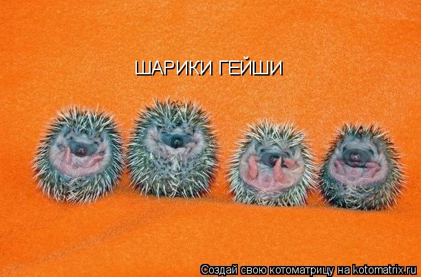 ШАРИКИ ГЕЙШИ... Котоматрица: ШАРИКИ ГЕЙШИ
