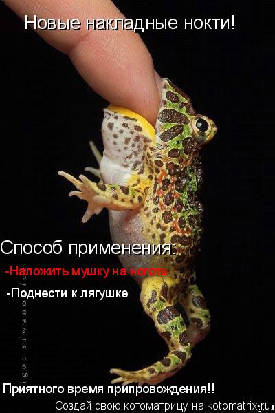 Новые накладные нокти! Способ применения: -Наложить мушку на ноготь -Поднести к лягушке Приятного вре... Котоматрица: Новые накладные нокти! Способ применения: -Наложить мушку на ноготь -Поднести к лягушке Приятного время припровождения!!
