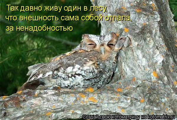 Так давно живу один в лесу, что внешность сама собой отпала, за ненадобностью... Котоматрица: Так давно живу один в лесу, что внешность сама собой отпала, за ненадобностью