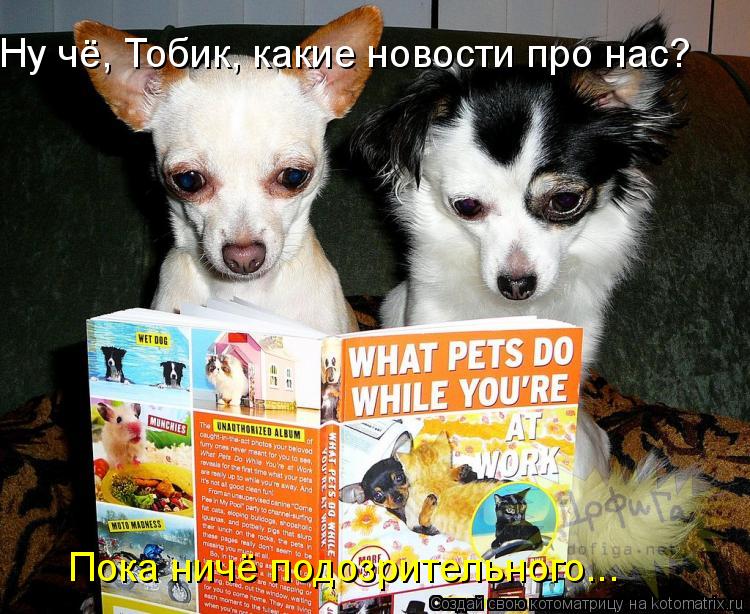 Ну чё, Тобик, какие новости про нас? Пока ничё подозрительного...... Котоматрица: Ну чё, Тобик, какие новости про нас? Пока ничё подозрительного...