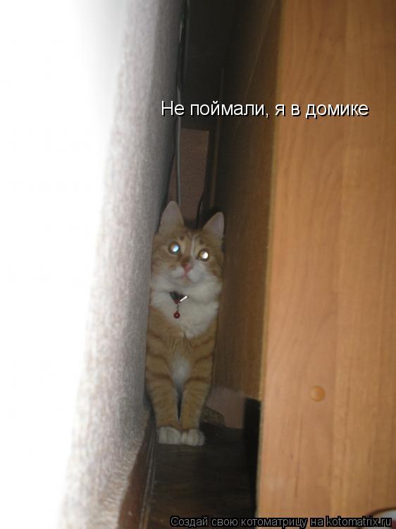 Не поймали, я в домике... Котоматрица: Не поймали, я в домике