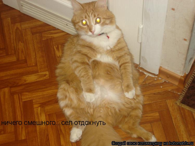ничего смешного...сел отдохнуть... Котоматрица: ничего смешного...сел отдохнуть