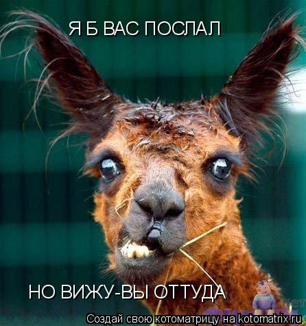 Я Б ВАС ПОСЛАЛ НО ВИЖУ-ВЫ ОТТУДА... Котоматрица: Я Б ВАС ПОСЛАЛ НО ВИЖУ-ВЫ ОТТУДА