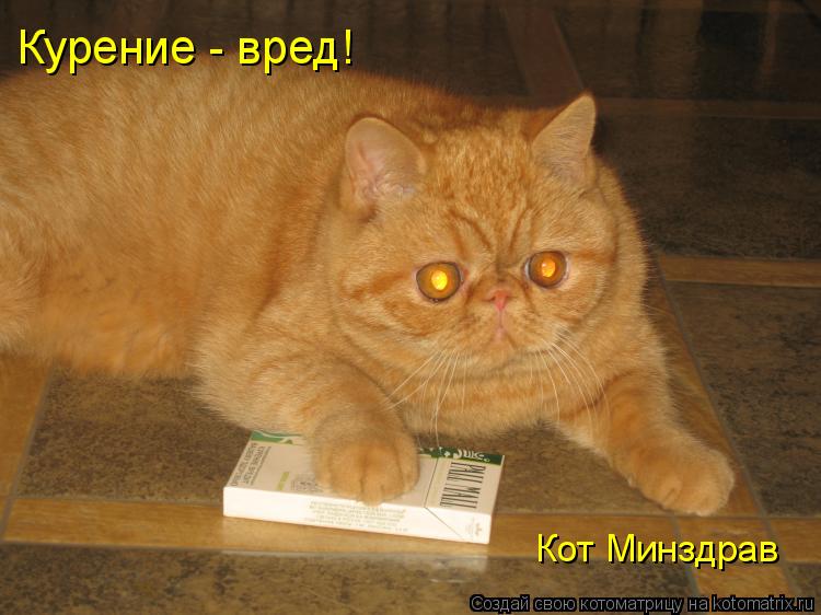 Курение - вред! Кот Минздрав... Котоматрица: Курение - вред! Кот Минздрав