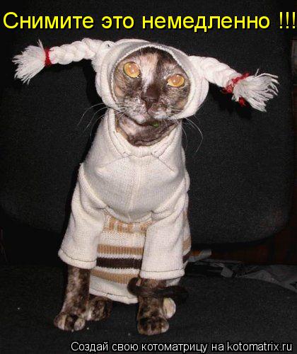 Снимите это немедленно !!!... Котоматрица: Снимите это немедленно !!!