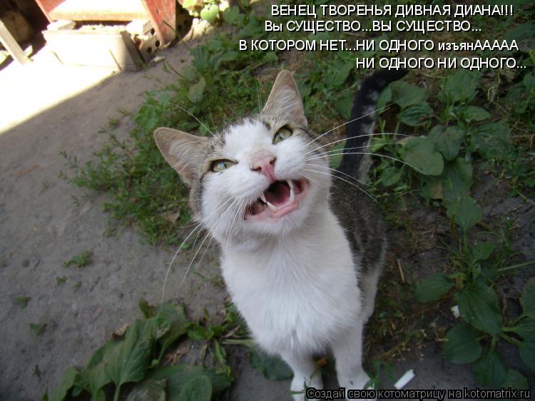 ВЕНЕЦ ТВОРЕНЬЯ ДИВНАЯ ДИАНА!!! Вы СУЩЕСТВО...ВЫ СУЩЕСТВО... В КОТОРОМ НЕТ...НИ ОДНОГО изъянААААА НИ О... Котоматрица: ВЕНЕЦ ТВОРЕНЬЯ ДИВНАЯ ДИАНА!!! Вы СУЩЕСТВО...ВЫ СУЩЕСТВО... В КОТОРОМ НЕТ...НИ ОДНОГО изъянААААА НИ ОДНОГО НИ ОДНОГО...