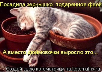 А вместо дюймовочки выросло это... Посадила зернышко, подаренное феей.... Котоматрица: А вместо дюймовочки выросло это... Посадила зернышко, подаренное феей.