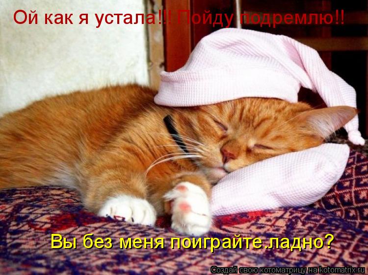Ой как я устала!!! Пойду подремлю!! Вы без меня поиграйте.ладно?... Котоматрица: Ой как я устала!!! Пойду подремлю!! Вы без меня поиграйте.ладно?