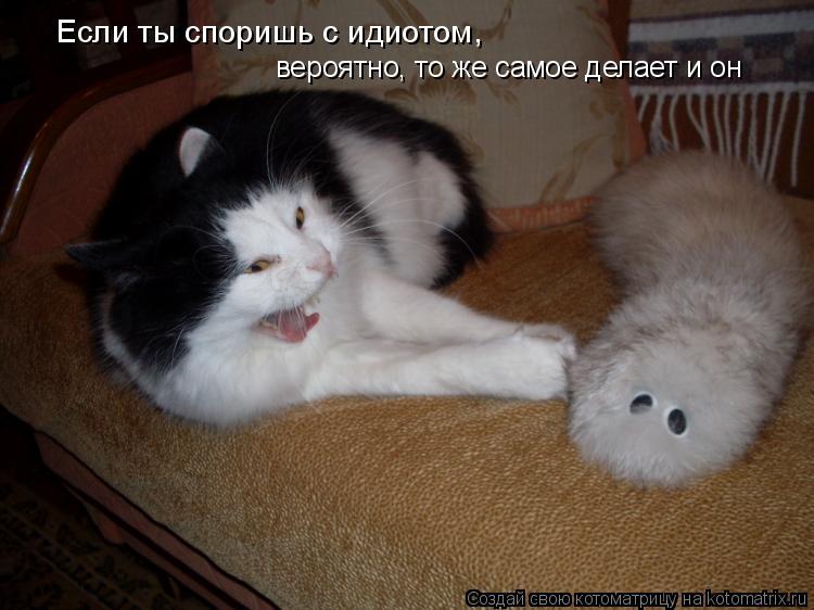 Если ты споришь с идиотом, вероятно, то же самое делает и он... Котоматрица: Если ты споришь с идиотом, вероятно, то же самое делает и он