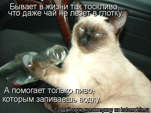 Бывает в жизни так тоскливо, что даже чай не лезет в глотку, А помогает только пиво, которым зап... Котоматрица: Бывает в жизни так тоскливо, что даже чай не лезет в глотку, А помогает только пиво, которым запиваешь водку.
