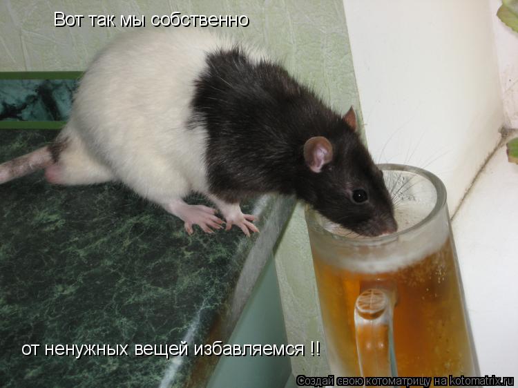 Вот так мы собственно от ненужных вещей избавляемся !!... Котоматрица: Вот так мы собственно от ненужных вещей избавляемся !!