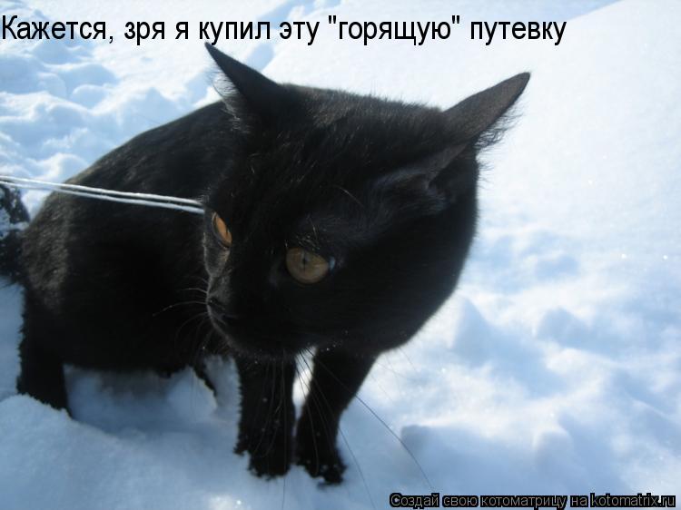 Кажется, зря я купил эту "горящую" путевку... Котоматрица: Кажется, зря я купил эту "горящую" путевку