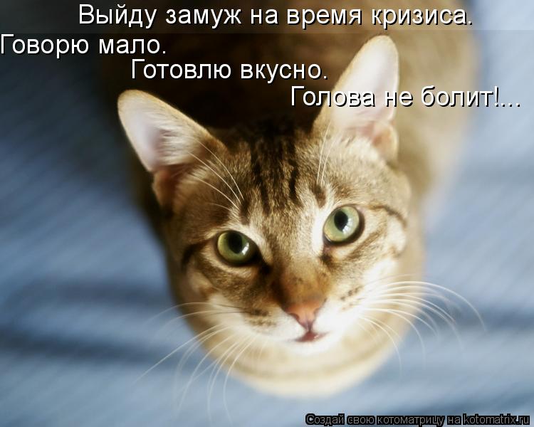 Выйду замуж на время кризиса. Говорю мало. Готовлю вкусно. Голова не болит!...... Котоматрица: Выйду замуж на время кризиса. Говорю мало. Готовлю вкусно. Голова не болит!...