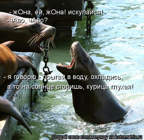 - жОна, ей, жОна! искупайся! -чАво, чАво? - я говорю - прыгай в воду, охладись, а то на солнце сгори... Котоматрица: - жОна, ей, жОна! искупайся! -чАво, чАво? - я говорю - прыгай в воду, охладись, а то на солнце сгоришь, курица глухая!