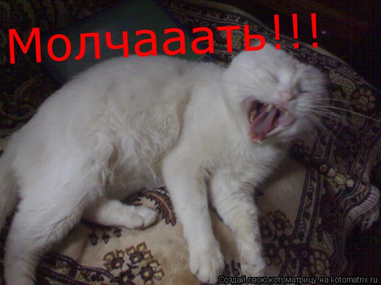 Молчааать!!!... Котоматрица: Молчааать!!!