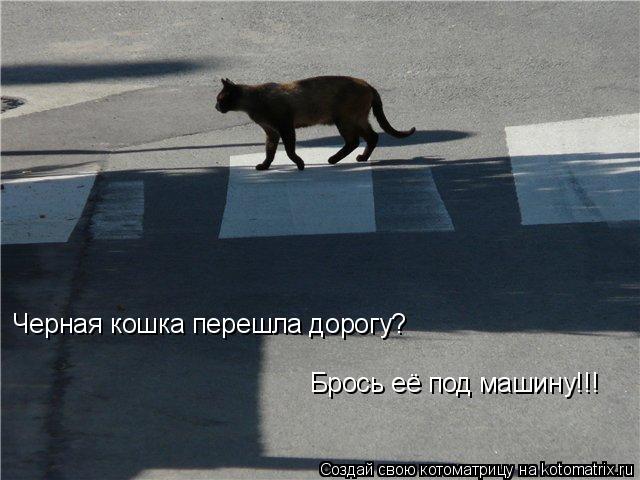 Черная кошка перешла дорогу? Брось её под машину!!!... Котоматрица: Черная кошка перешла дорогу? Брось её под машину!!!