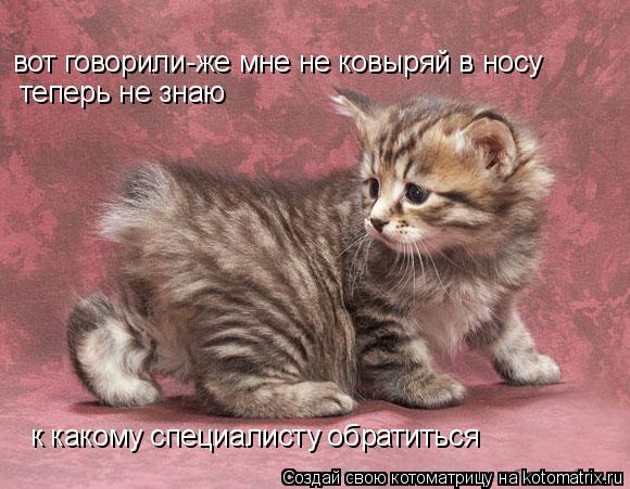 вот говорили-же мне не ковыряй в носу теперь не знаю к какому специалисту обратиться... Котоматрица: вот говорили-же мне не ковыряй в носу теперь не знаю к какому специалисту обратиться