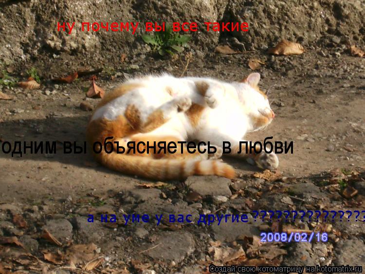 ну почему вы все такие одним вы объясняетесь в любви а на уме у вас другие ??????????????????????????... Котоматрица: ну почему вы все такие одним вы объясняетесь в любви а на уме у вас другие ?????????????????????????????????????