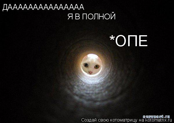 ДААААААААААААААА Я В ПОЛНОЙ *ОПЕ... Котоматрица: ДААААААААААААААА Я В ПОЛНОЙ *ОПЕ