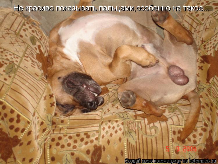 Не красиво показывать пальцами,особенно на такое........ Котоматрица: Не красиво показывать пальцами,особенно на такое.....