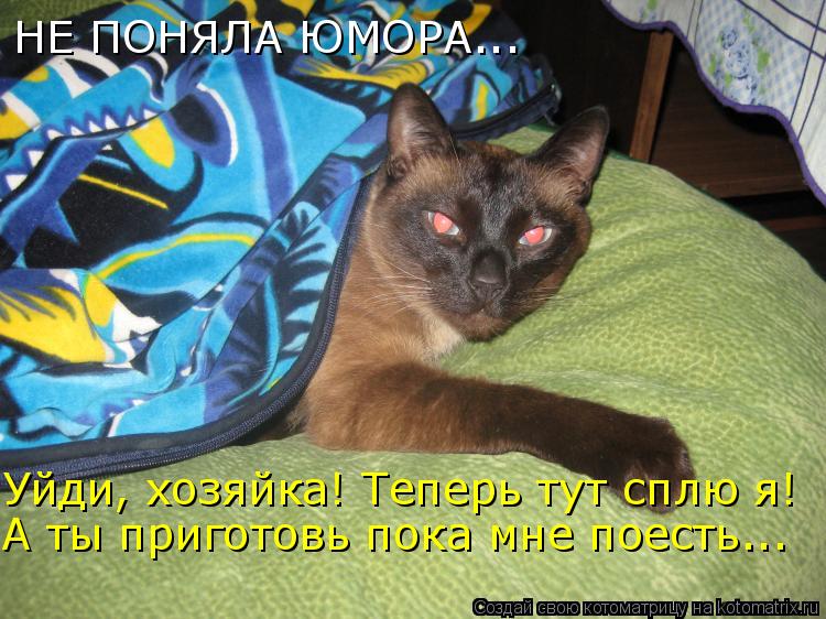 Уйди, хозяйка! Теперь тут сплю я! А ты приготовь пока мне поесть... НЕ ПОНЯЛА ЮМОРА...... Котоматрица: Уйди, хозяйка! Теперь тут сплю я! А ты приготовь пока мне поесть... НЕ ПОНЯЛА ЮМОРА...