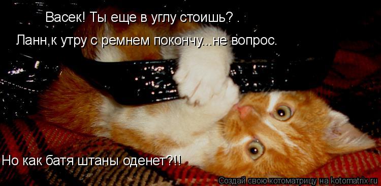 Васек! Ты еще в углу стоишь? . Ланн,к утру с ремнем покончу...не вопрос. Но как батя штаны оденет?!!... Котоматрица: Васек! Ты еще в углу стоишь? . Ланн,к утру с ремнем покончу...не вопрос. Но как батя штаны оденет?!!