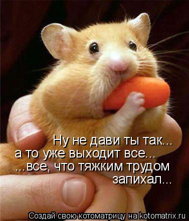 Ну не дави ты так... а то уже выходит все... ...все, что тяжким трудом запихал...... Котоматрица: Ну не дави ты так... а то уже выходит все... ...все, что тяжким трудом запихал...