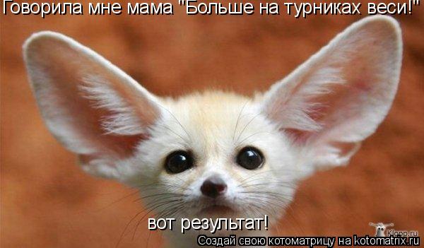 Говорила мне мама "Больше на турниках веси!" вот результат!... Котоматрица: Говорила мне мама "Больше на турниках веси!" вот результат!