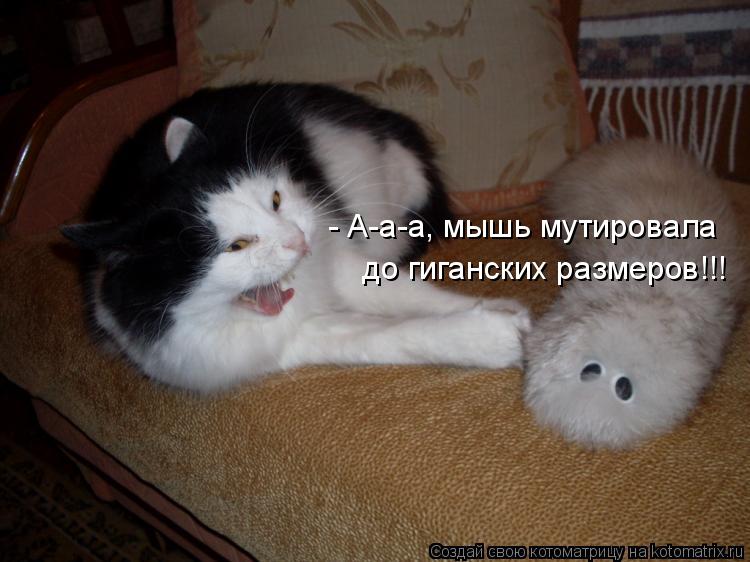 - А-а-а, мышь мутировала до гиганских размеров!!!... Котоматрица: - А-а-а, мышь мутировала до гиганских размеров!!!