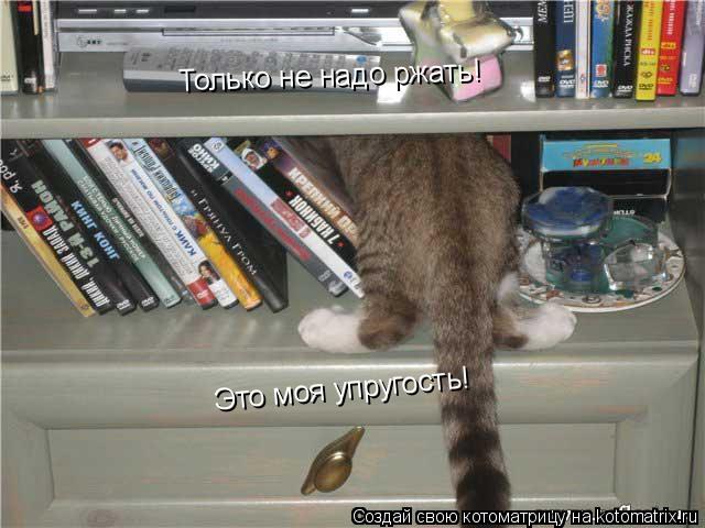 Только не надо ржать! Это моя упругость!... Котоматрица: Только не надо ржать! Это моя упругость!