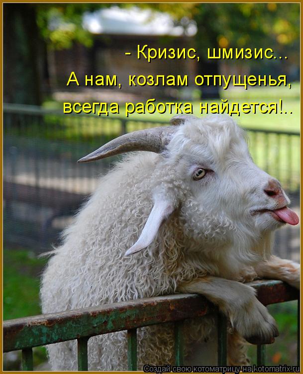 - Кризис, шмизис... А нам, козлам отпущенья, всегда работка найдется!..... Котоматрица: - Кризис, шмизис... А нам, козлам отпущенья, всегда работка найдется!..