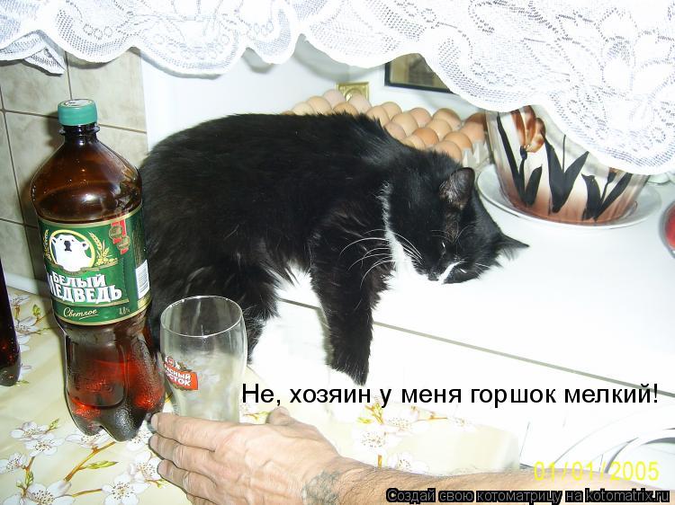 Не, хозяин у меня горшок мелкий!... Котоматрица: Не, хозяин у меня горшок мелкий!