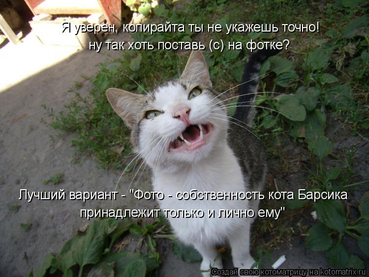 Я уверен, копирайта ты не укажешь точно! ну так хоть поставь (c) на фотке? Лучший вариант - "Фото - ... Котоматрица: Я уверен, копирайта ты не укажешь точно! ну так хоть поставь (c) на фотке? Лучший вариант - "Фото - собственность кота Барсика принадлежит тол