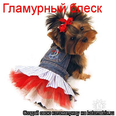Гламурный блеск... Котоматрица: Гламурный блеск