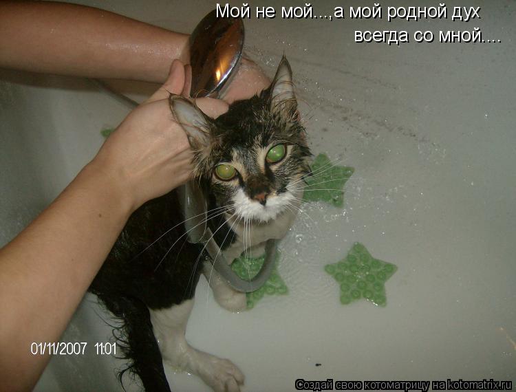 Мой не мой...,а мой родной дух всегда со мной....... Котоматрица: Мой не мой...,а мой родной дух всегда со мной....