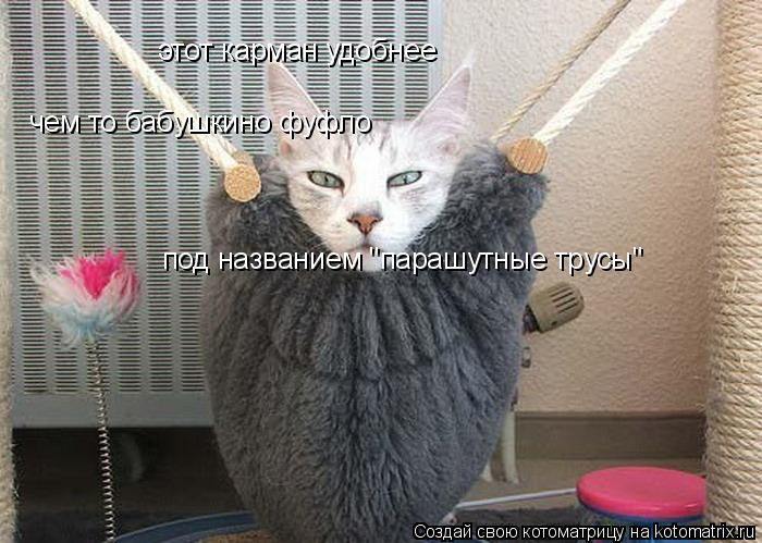 этот карман удобнее чем то бабушкино фуфло под названием "парашутные трусы"... Котоматрица: этот карман удобнее чем то бабушкино фуфло под названием "парашутные трусы"