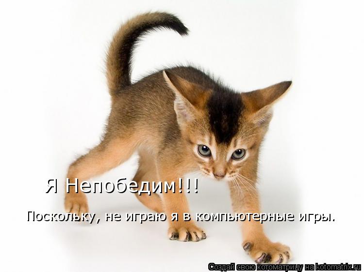 Я Непобедим!!! Поскольку, не играю я в компьютерные игры.... Котоматрица: Я Непобедим!!! Поскольку, не играю я в компьютерные игры.