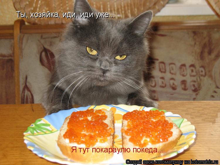Ты, хозяйка, иди, иди уже... Я тут покараулю покеда...... Котоматрица: Ты, хозяйка, иди, иди уже... Я тут покараулю покеда...