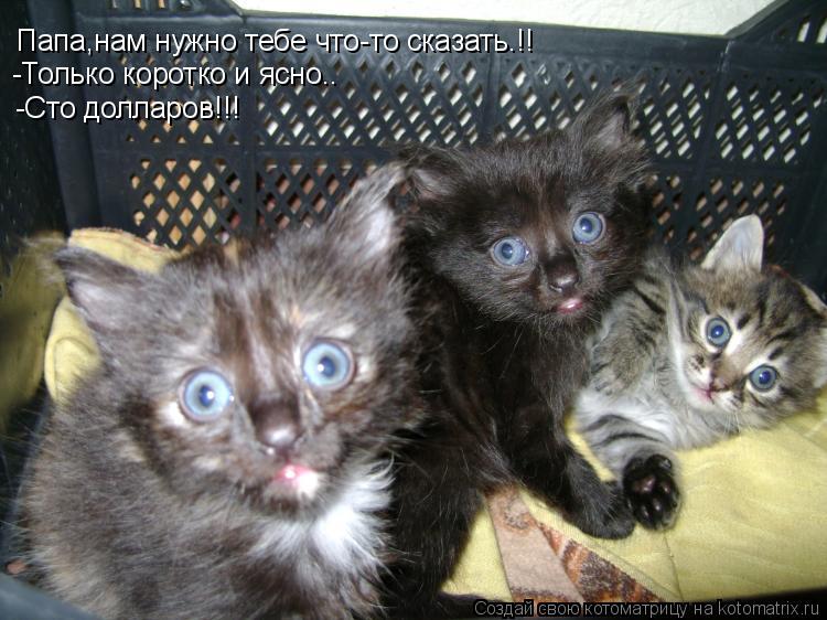 Папа,нам нужно тебе что-то сказать.!! -Только коротко и ясно.. -Сто долларов!!!... Котоматрица: Папа,нам нужно тебе что-то сказать.!! -Только коротко и ясно.. -Сто долларов!!!