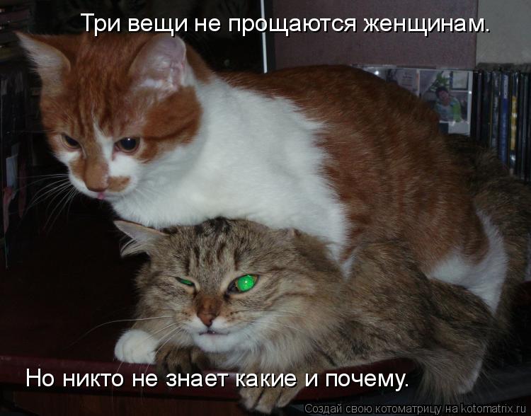 Три вещи не прощаются женщинам. Но никто не знает какие и почему.... Котоматрица: Три вещи не прощаются женщинам. Но никто не знает какие и почему.