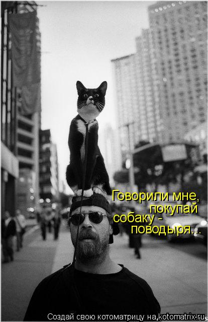 Говорили мне, покупай собаку - поводыря...... Котоматрица: Говорили мне, покупай собаку - поводыря...
