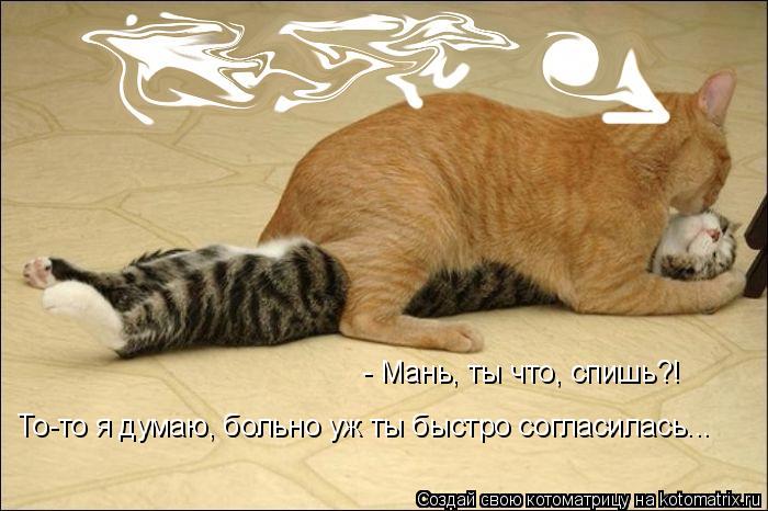 - Мань, ты что, спишь?! То-то я думаю, больно уж ты быстро согласилась...... Котоматрица: - Мань, ты что, спишь?! То-то я думаю, больно уж ты быстро согласилась...