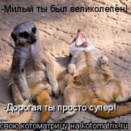 -Милый ты был великолепен! -Дорогая ты просто супер!... Котоматрица: -Милый ты был великолепен! -Дорогая ты просто супер!