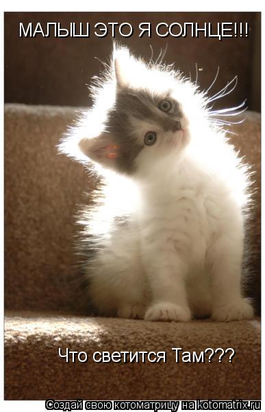 Что светится Там??? МАЛЫШ ЭТО Я СОЛНЦЕ!!!... Котоматрица: Что светится Там??? МАЛЫШ ЭТО Я СОЛНЦЕ!!!