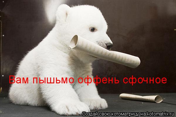 Вам пышьмо оффень сфочное... Котоматрица: Вам пышьмо оффень сфочное