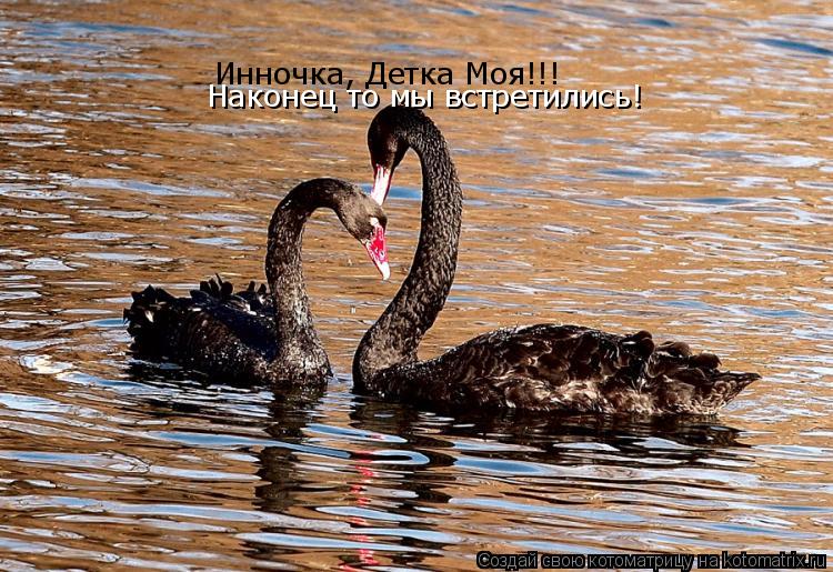 Инночка, Детка Моя!!! Наконец то мы встретились!... Котоматрица: Инночка, Детка Моя!!! Наконец то мы встретились!
