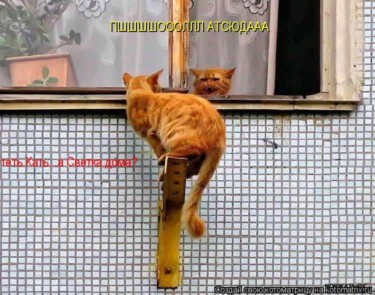 ПШШШШОООЛЛЛ АТСЮДААА теть Кать...а Светка дома?... Котоматрица: ПШШШШОООЛЛЛ АТСЮДААА теть Кать...а Светка дома?