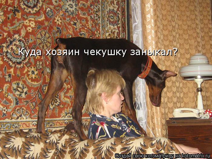 Куда хозяин чекушку заныкал?... Котоматрица: Куда хозяин чекушку заныкал?