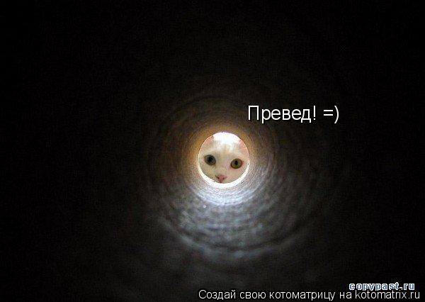 Превед! =)... Котоматрица: Превед! =)